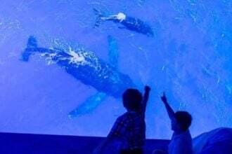 Museo delle Sentinelle del Mare