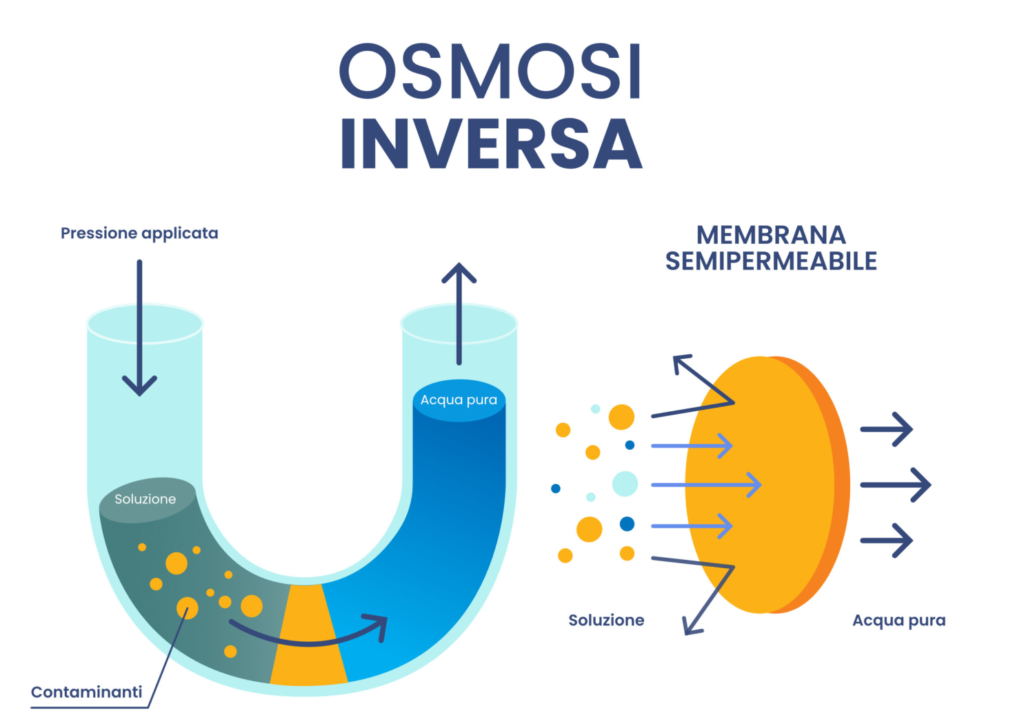 Che cos'è l'osmosi inversa? - InfoCilento