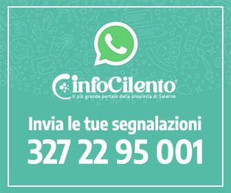 WhatsApp InfoCilento