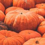 Zucca sott'olio