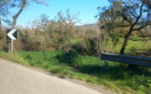 Strada provinciale 11