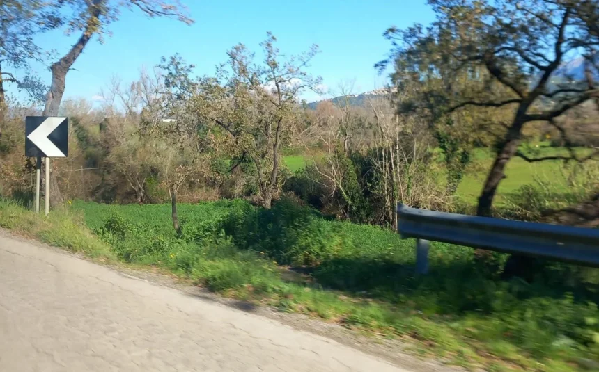 Strada provinciale 11