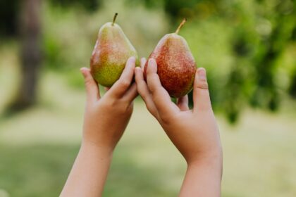 Benefici delle pere