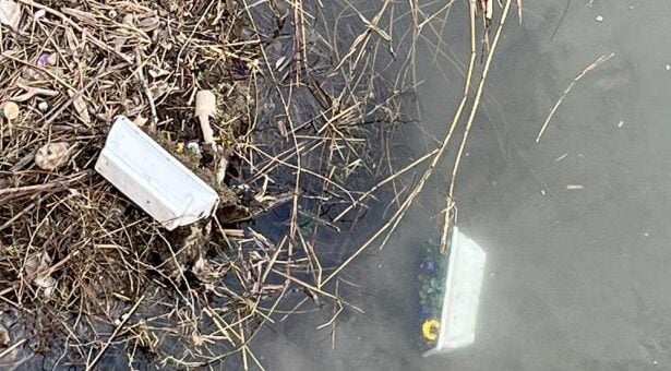 Atta vandalici Polla