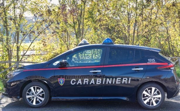 Carabinieri parchi