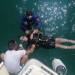 Diving Yoghi