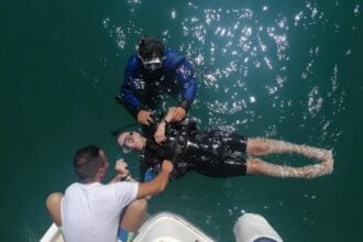 Diving Yoghi