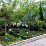 Giardino Minerva