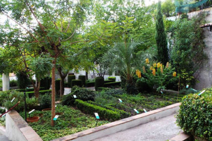 Giardino Minerva