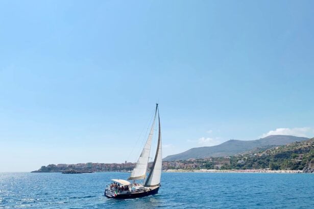 Penelope barca cardioprotetta