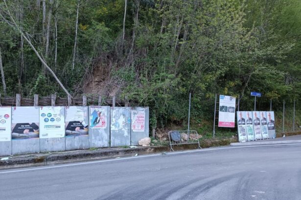 Campagna elettorale a Campagna