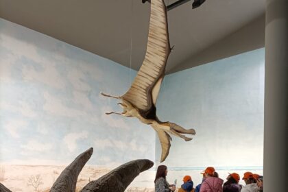 Museo Paleontologico