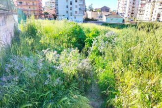 Parco di Eboli nel degrado