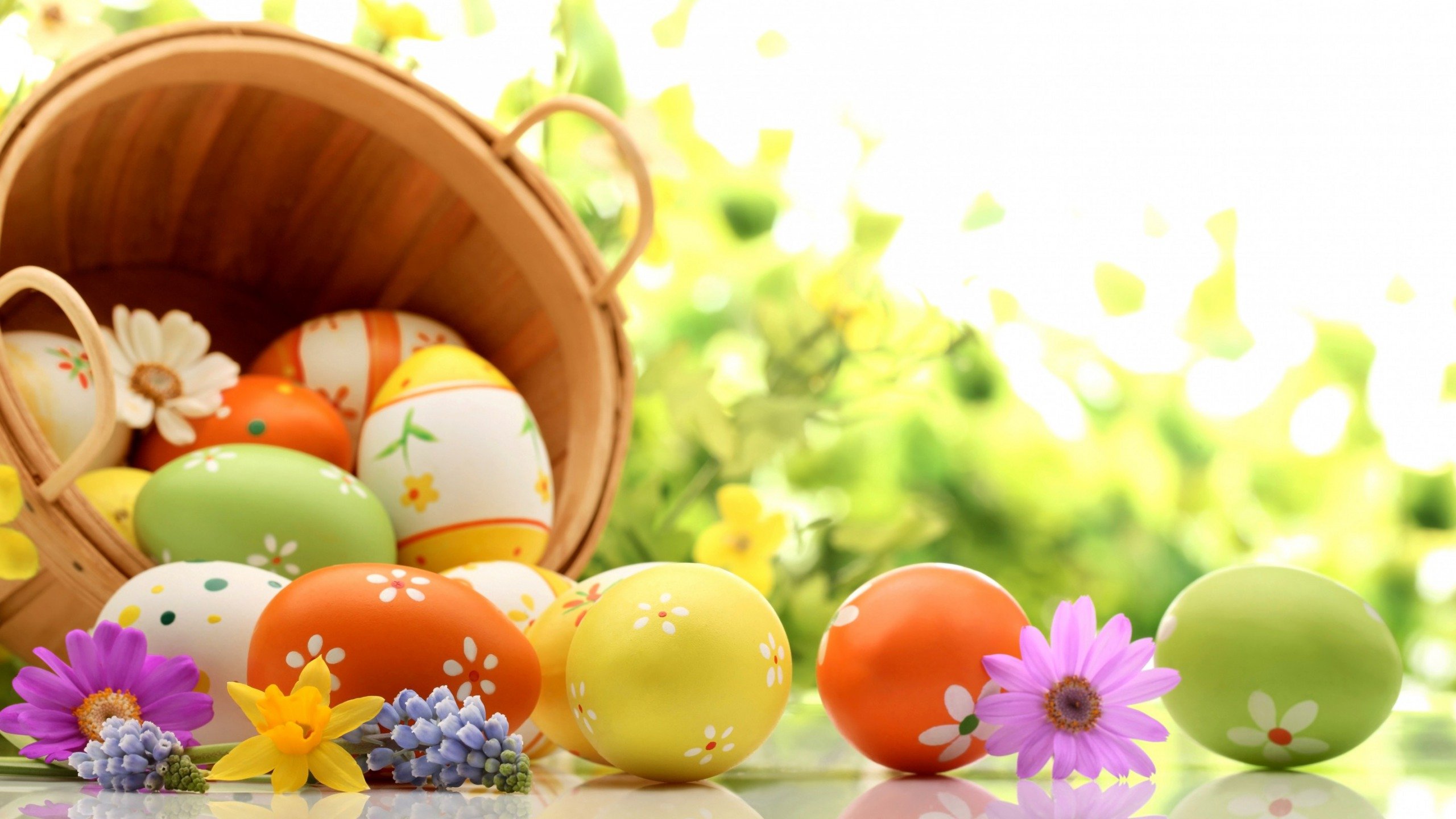 Pasqua