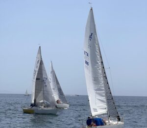 Barca vela