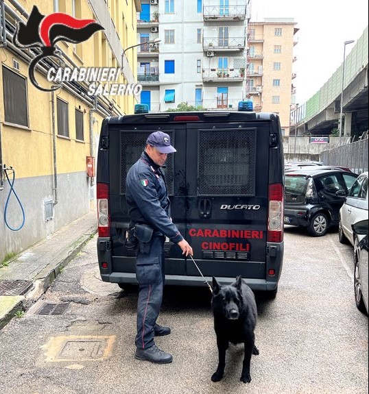 Carabinieri nucleo cinofili