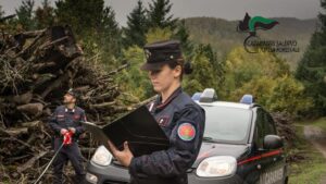 Carabinieri forestali