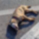 Lupo morto