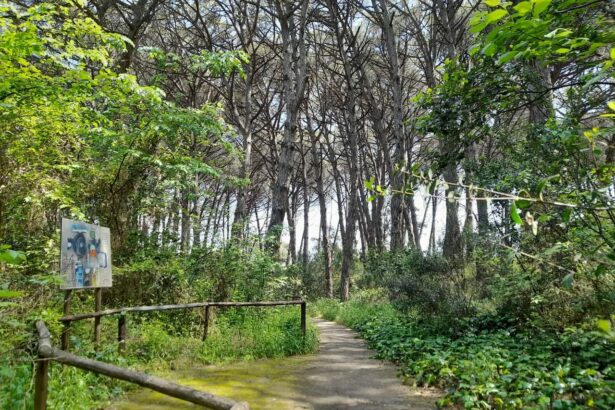 Oasi Legambiente Capaccio