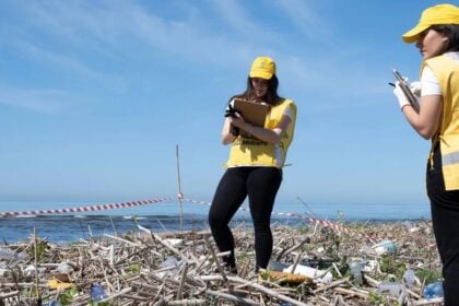 Beach Litter 2023