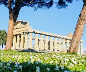 Templi Paestum