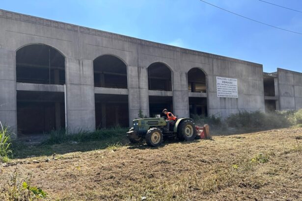 La Vela Santa Cecilia