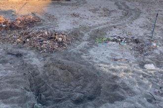 Caretta Caretta Eboli