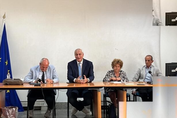 Peste suina africana