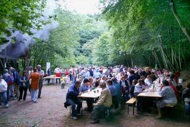 Festa nel bosco