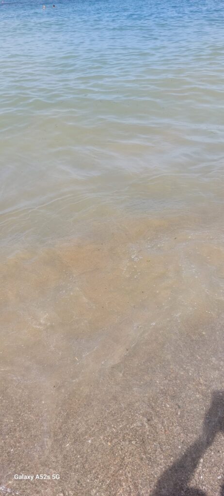 Acqua gialla