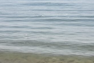 Mare acqua sporco Cilento