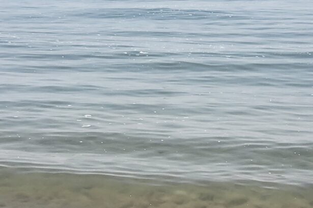 Mare acqua sporco Cilento