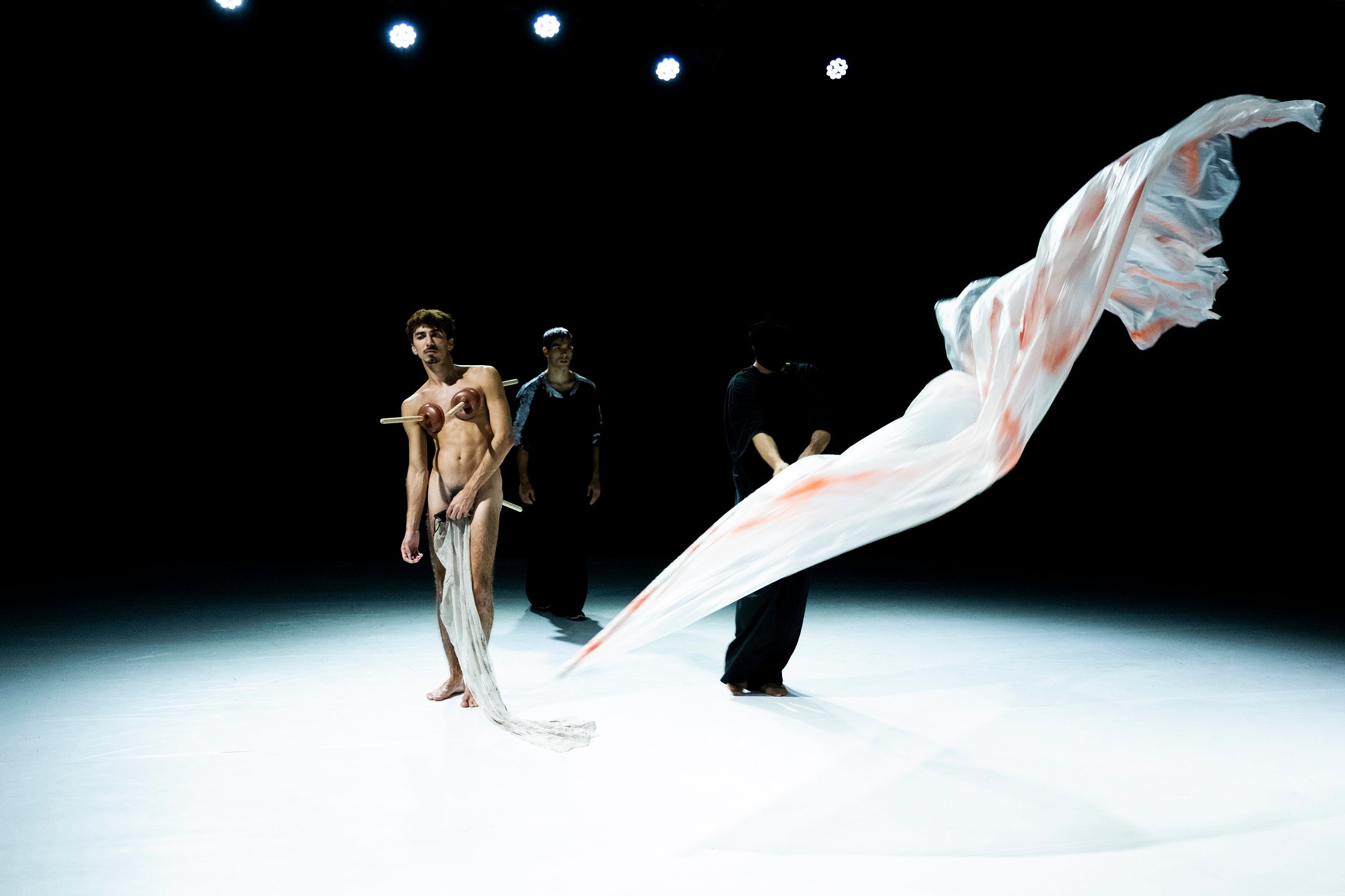 Salerno Danza Festival: le ultime 4 date al Giardino degli Ulivi di Ascea -  InfoCilento