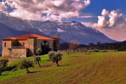 Auletta