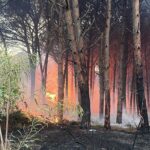 Incendio Pineta Eboli