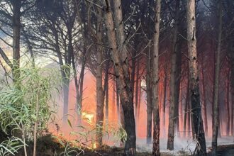 Incendio Pineta Eboli