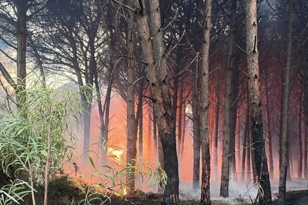 Incendio Pineta Eboli