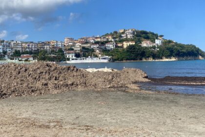 Posidonia Lido Azzurro