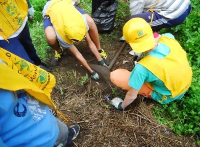 Puliamo il mondo: nel Cilento studenti scendono in campo per la pulizia del  territorio - InfoCilento