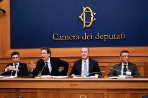 Aree Interne, Camera dei deputati