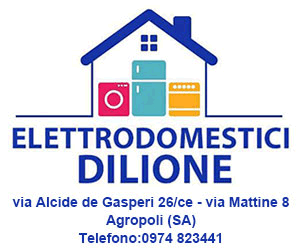 Di Lione Elettrodomestici