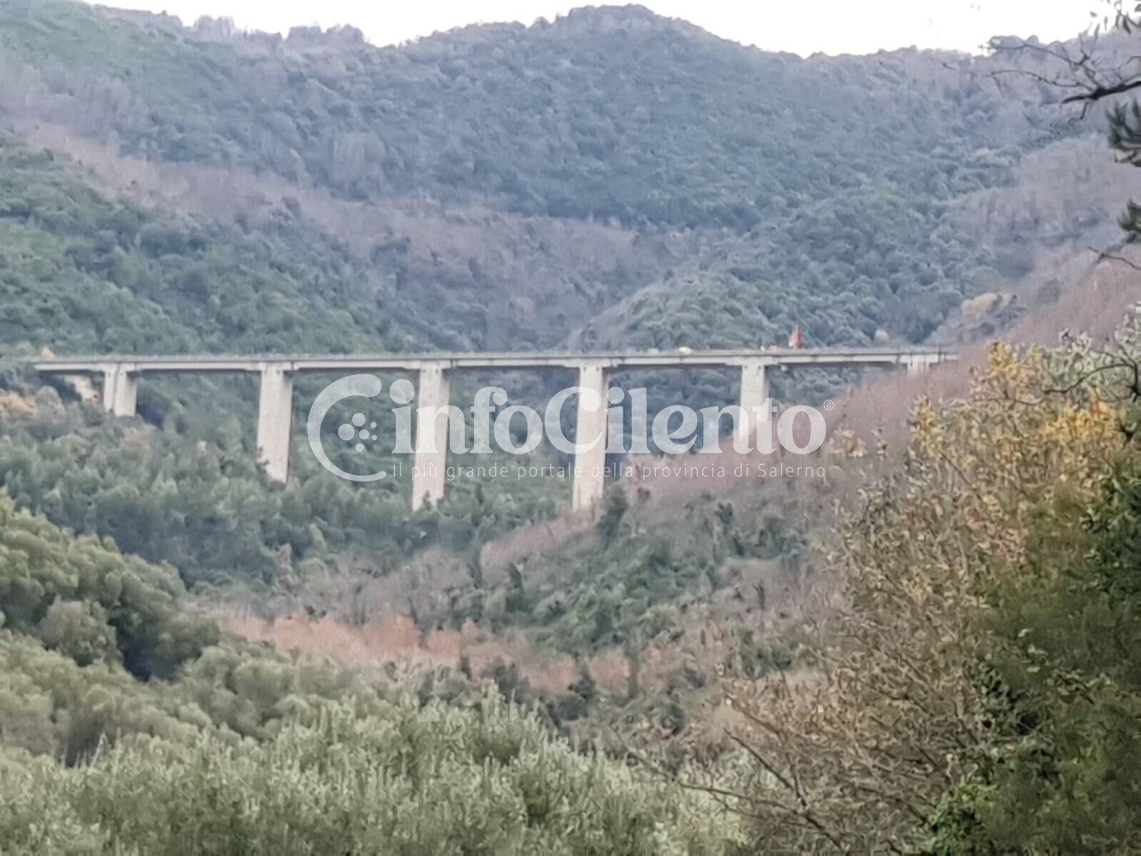 Cilentana viadotto