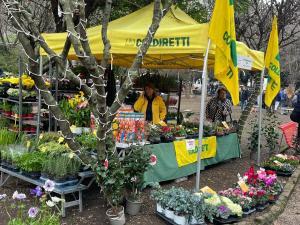 Mercatino coldiretti
