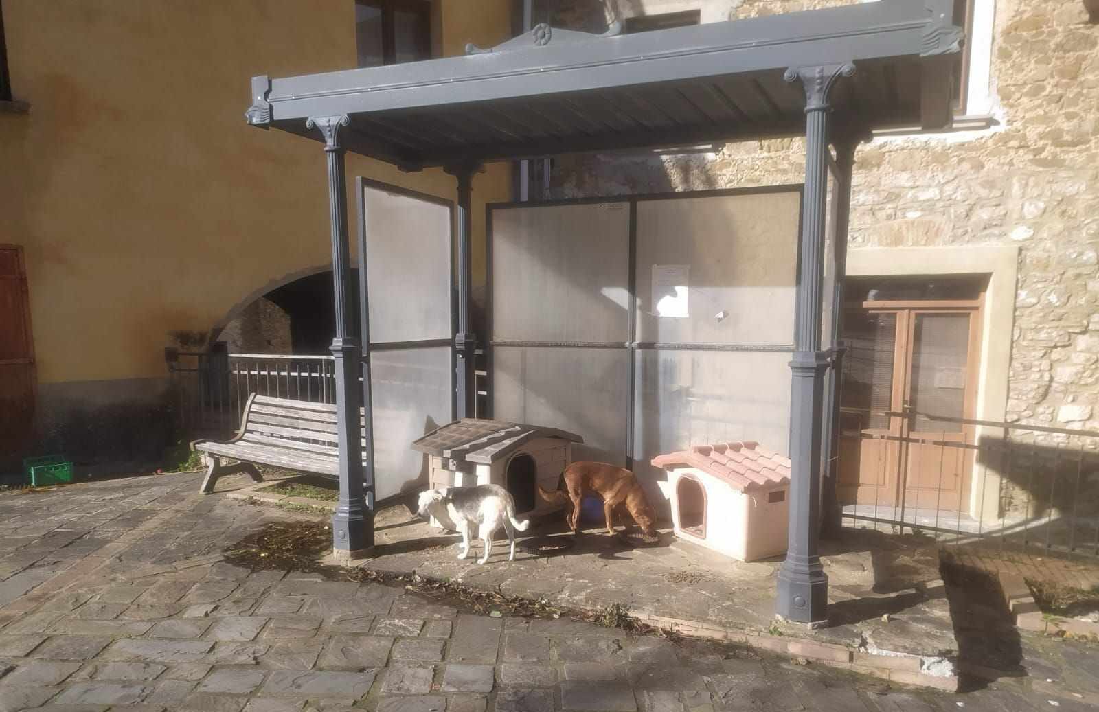 Cani Serramezzana