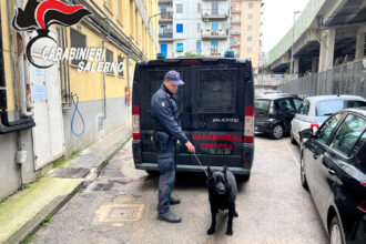 Droga Sala Consilina