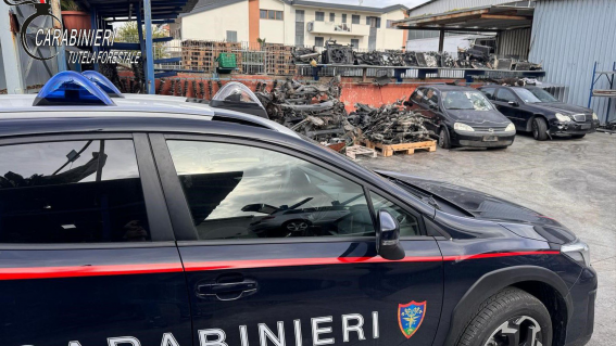 Carabinieri Forestali