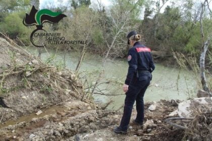 Sequestro Azienda Bufalina Eboli