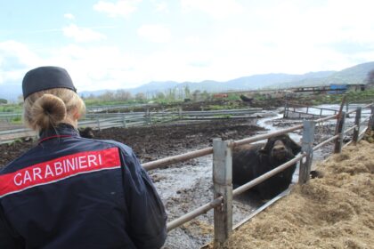 Carabinieri sequestro