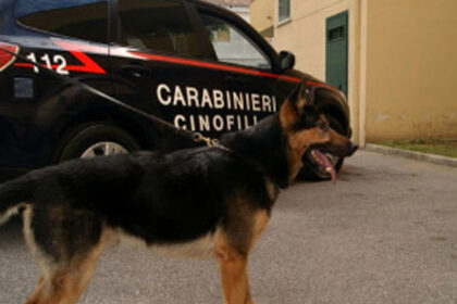 Carabinieri cinofili