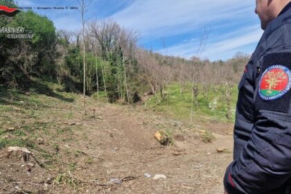 Carabinieri Forestali